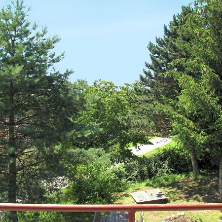 Holiday Home Jitka By Interhome Jablonné nad Orlicí エクステリア 写真